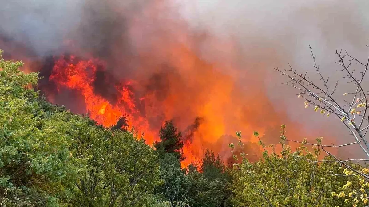 İznik’teki Orman Yangını Kontrol Altına Alındı