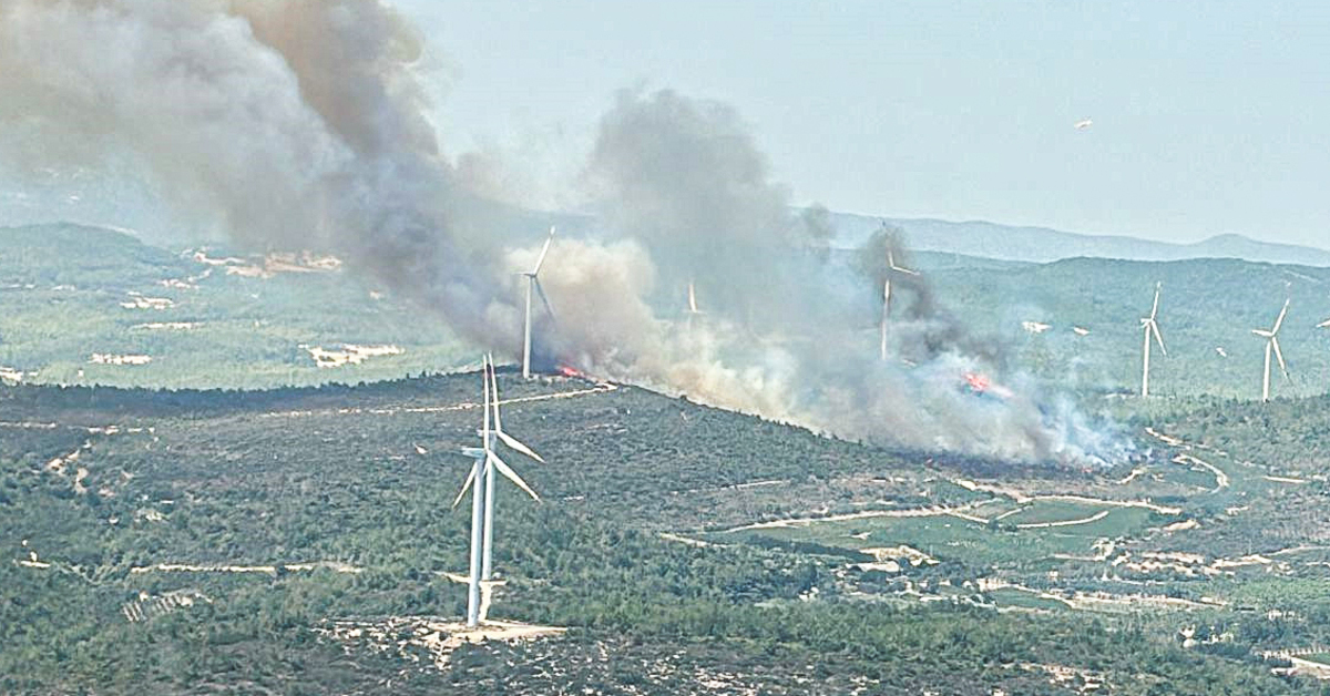 İzmir Urla’da orman yangını