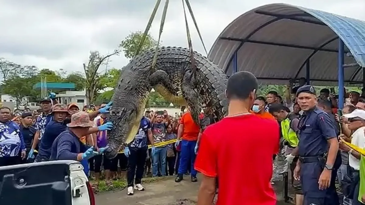 Malezya’da timsah faciası: Kalıntılar mide bulandırdı