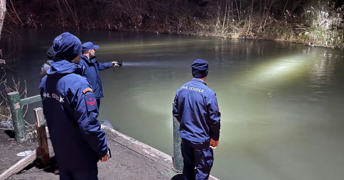 Balık peşindeki yunus Bartın Irmağında mahsur kaldı