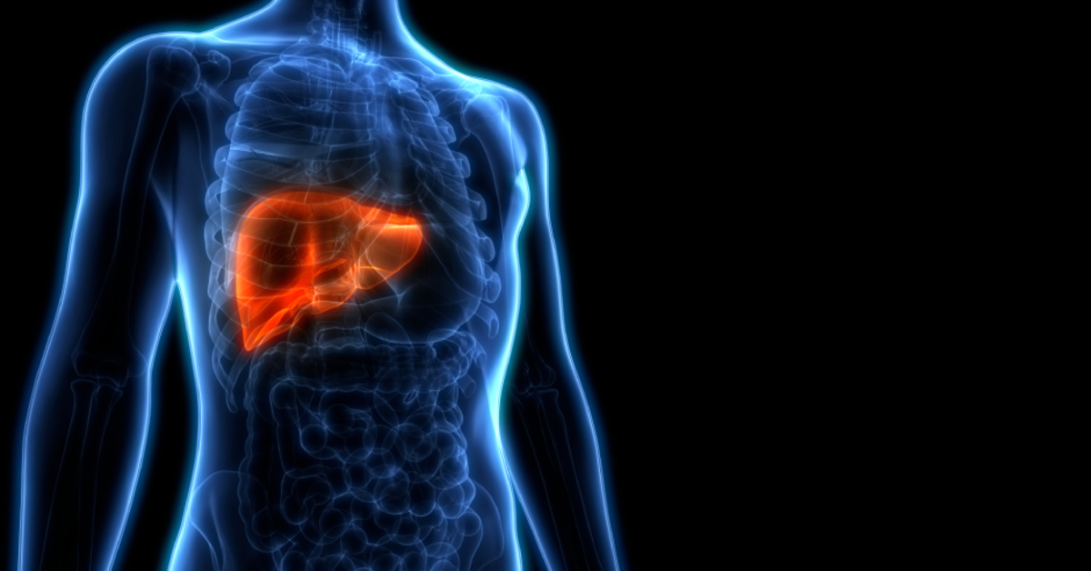 Karaciğer sağlığı için bol bol tüketin